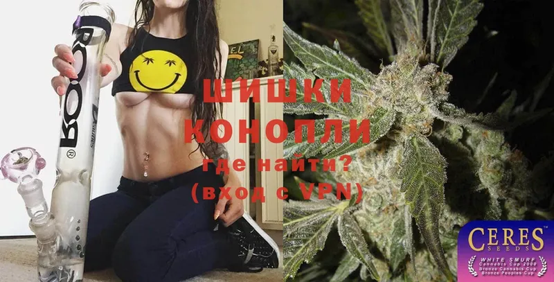 наркота  MEGA как войти  Бошки Шишки Ganja  Кашира 